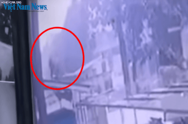지난달 28일 13층 건물에서 떨어진 아이를 배달기사가 받아내는 장면. /Vietnam News