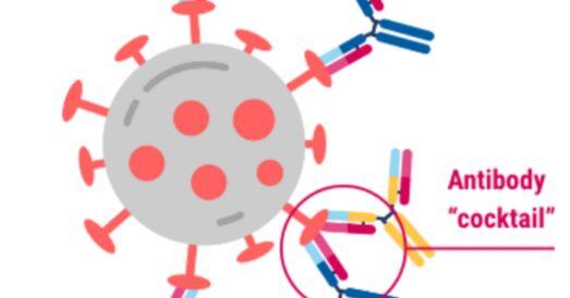 az-news-ai.blogspot.com - 트럼프 대통령이 맞은 ‘칵테일 요법’ 세가지 약은? - 조선일보