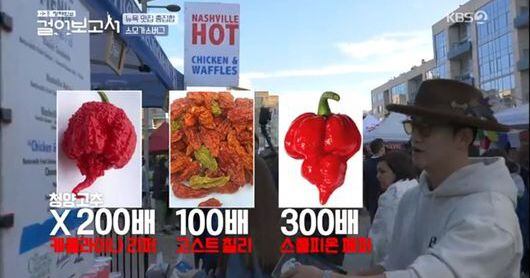 걸어보고서 정해인 청양고추 300배 치킨버거 내가 좋아하는 맛 맵부심 뿜뿜 Oh쎈 리뷰 조선일보 4061