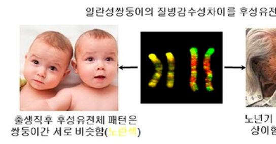 한국인 당뇨병 관련 11종 후성유전체 지도 공개 7864