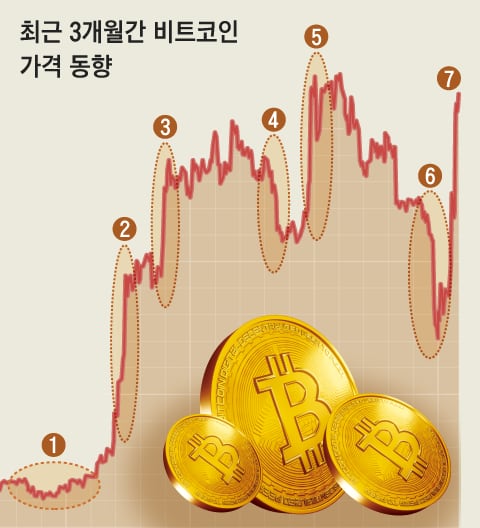 Svb 사태에도… 위험자산인 가상화폐 '초강세' - 조선일보