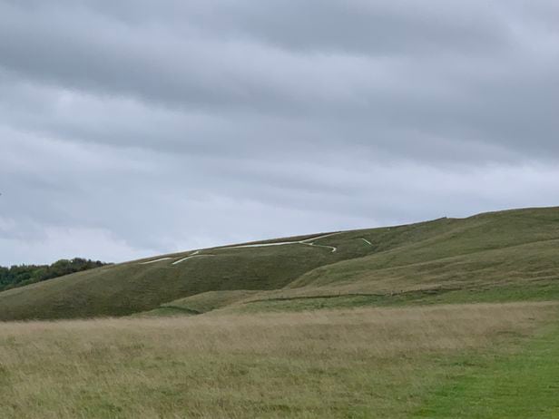 우핑턴(Uffington)의 하얀 말. ‘용의 언덕 (Dragon Hill)’이라 불리는 능선을 따라 110미터 길이로 말 모양을 참호처럼 파놓았다.
