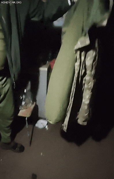 우크라이나, 러시아 군인들이 소셜미디어에 올린 '쥐떼' 관련 영상./틱톡