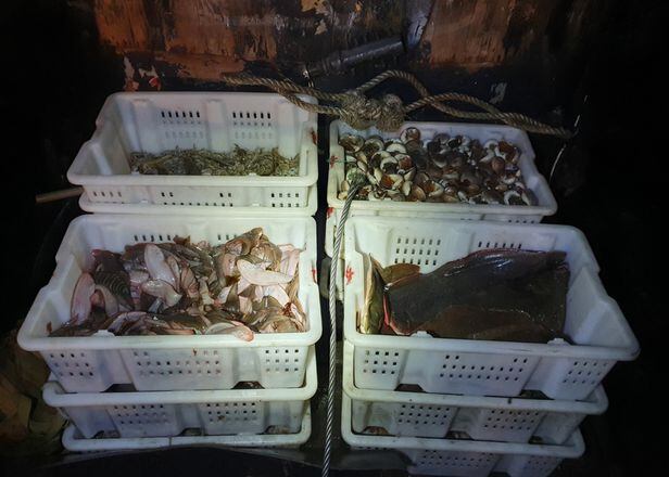 해경이 확보한 중국 어선 불법 어획물. /중부해경청