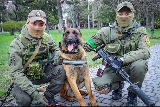 군견 맥스와 우크라이나 병사들. /Hero Paws 페이스북