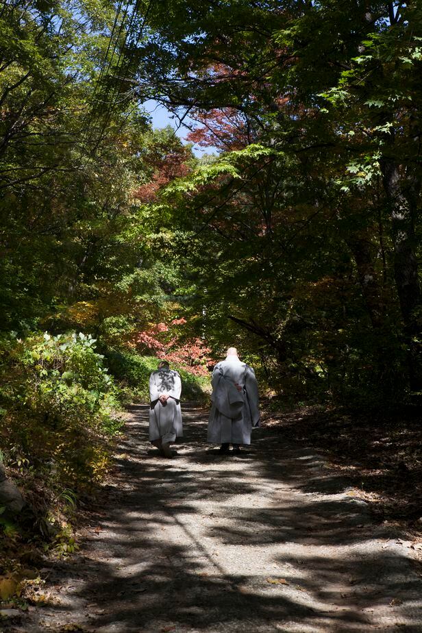 봉선사 경내를 산책하는 월운 스님(왼쪽). /월운스님선양회