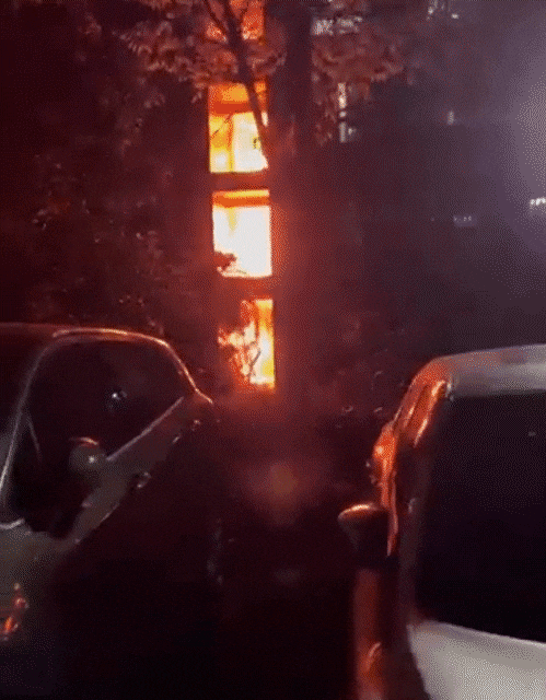 에바 람멜루가 공유한 화재 영상./트위터