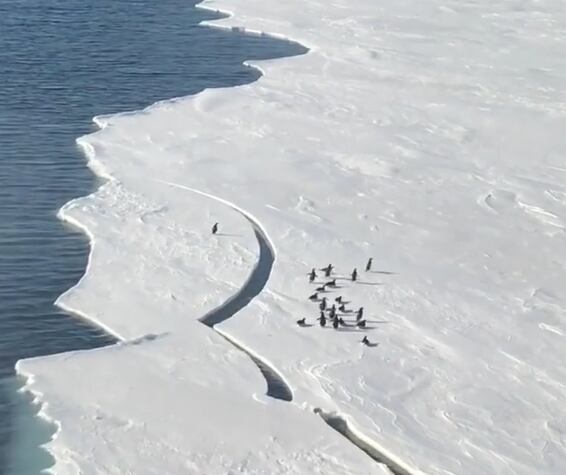 미국 해안 경비대 소속으로 활동하는 데릭 문손이 지난 2018년 6월 올린 영상이 최근 다시 화제가 됐다. 영상에는 빙하가 갈라지며 한 펭귄이 겪는 상황이 담겼다. /인스타그램