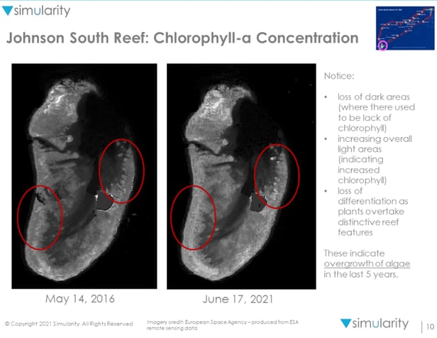 5년새 변한 존슨 사우스 리프의 위성사진. 인분, 오폐수로 인해 이전에 없었던 엽록소(chlorophyll)가 바다를 덮으면서 어두운 지역이 줄고 밝은 지역이 늘었다.  녹조 현상이 두드러지면서, 흑백 위성 사진 상의 명암 구분도 줄었다./시뮬래리티