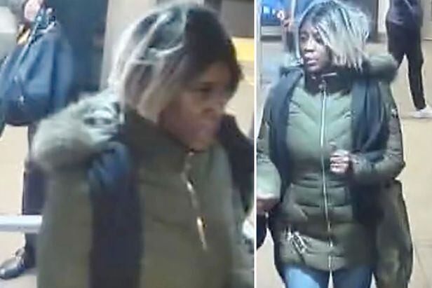 지하철에서 아시아계 남성을 밀친 혐의로 기소된 미국 흑인 여성. /뉴욕 경찰 홈페이지
