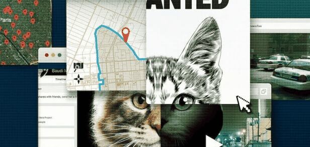 넷플릭스 '고양이는 건드리지 마라' 포스터