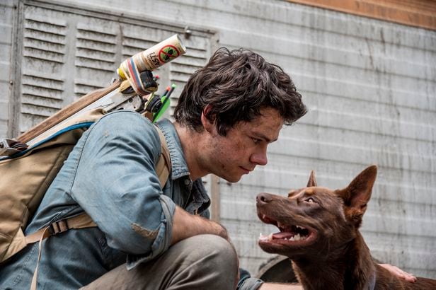 영화 '러브 앤 몬스터스'의 주인공 조엘과 여정을 함께하는 강아지 보이(오른쪽)./넷플릭스