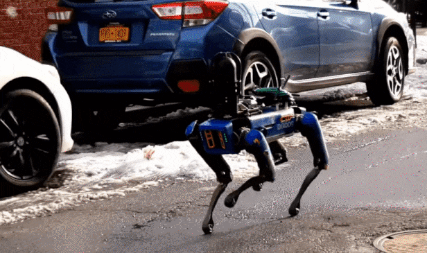 미 뉴욕경찰국(NYPD)이 도입한 로봇개 스폿은 현대차그룹이 인수한 보스턴다이내믹스의 제품이다. /FNTV