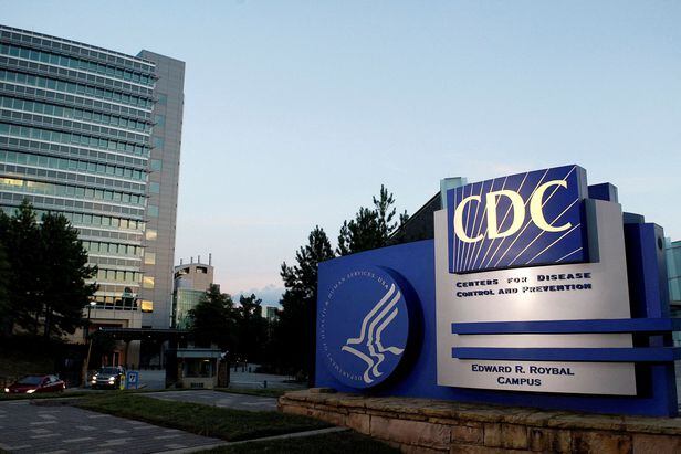 미국 질병통제예방센터(CDC)/로이터 연합뉴스