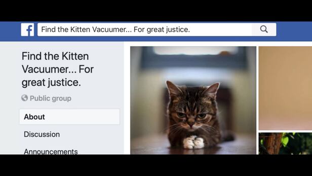 고양이 살해범을 추적하기 위해 2010년 개설된 페이스북 채널