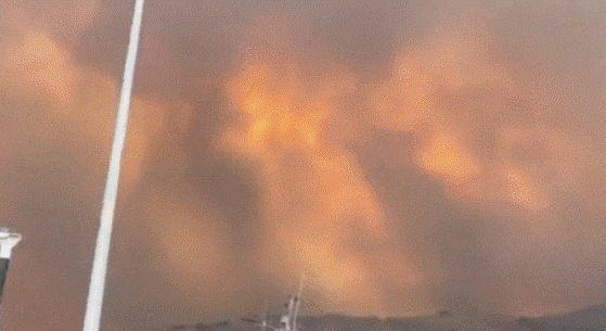 로도스섬 해안가에서 바라본 산불 상황. 시커먼 연기에 하늘이 뒤덮인 모습이다. /트위터