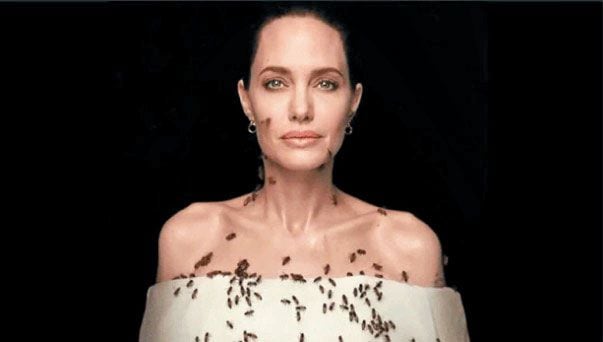 할리우드 배우 안젤리나 졸리가 벌떼에 뒤덮인 모습. /내셔널지오그래픽 인스타그램 캡처