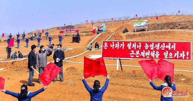 밭농사를 준비하는 북한 주민들. /평양 노동신문 뉴스1