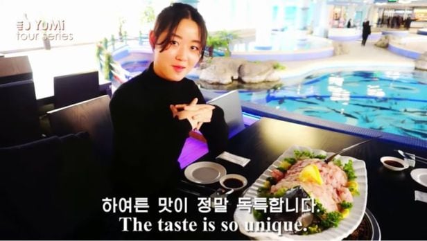 철갑상어 먹방하는 북한 유튜브 유미