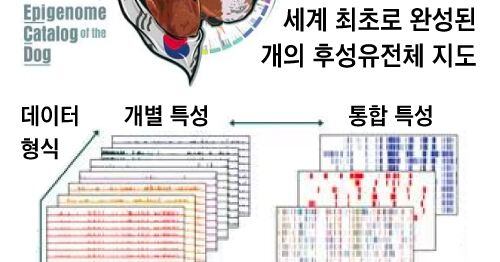 반려견 암 유전 질환 연구 길 열렸다세계 최초 개의 후성유전체 지도 완성 6179