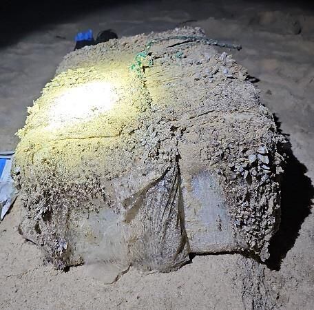 호주 시드니 인근 해변에서 발견된 마약 꾸러미./뉴사우스웨일주 경찰
