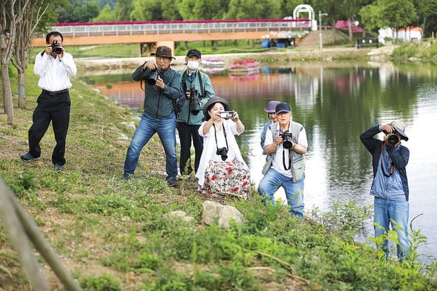 한국문화원연합회에서는 노인 세대를 대상으로 다양한 문화 활동 지원 사업을 펼치고 있다. 지난해 춘천문화원은 사진에 관심 있는 어르신들이 사진 작가와 모델 역할을 해보며 촬영을 배우는 ‘인생천(川)컷’ 프로그램을 진행했다. / 한국문화원연합회 제공