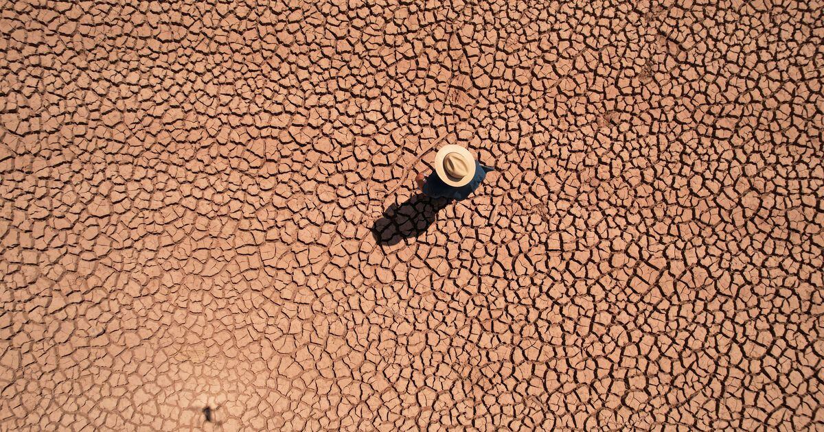 [더 한장] Mexico, folks and animals are affected by extreme drought