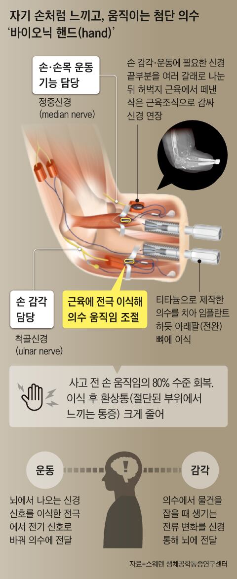 그래픽=양진경