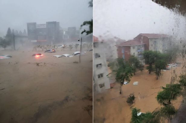 '힌남노' 영향권에 든 경북 포항에 시간당 60㎜의 강한 비가 내리고 있는 가운데, 도로 곳곳이 침수됐다./온라인 커뮤니티
