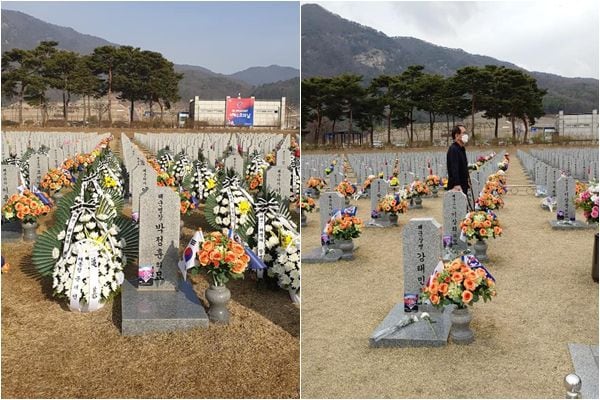 지난 26일 국립대전현충원 서해 55용사 묘역에 놓인 문재인 대통령과 해군·해병대 명의 조화(왼쪽)와 다음날 철거된 모습./전준영 회장 페이스북