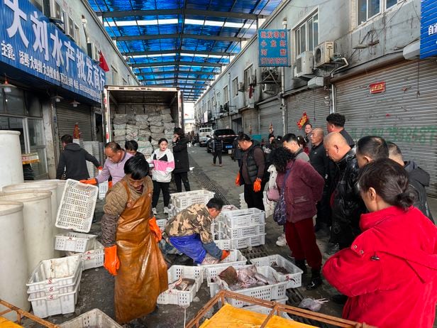 북한산 수산물 버젓이 팔리는 단둥 수산시장 - 단둥의 '둥강 황하이 수산물도매시장'의 한 가게에서 수산물을 판매하고 있다. 이 시장에서는 북한산 수산물이 버젓이 거래됐다. /이벌찬 특파원